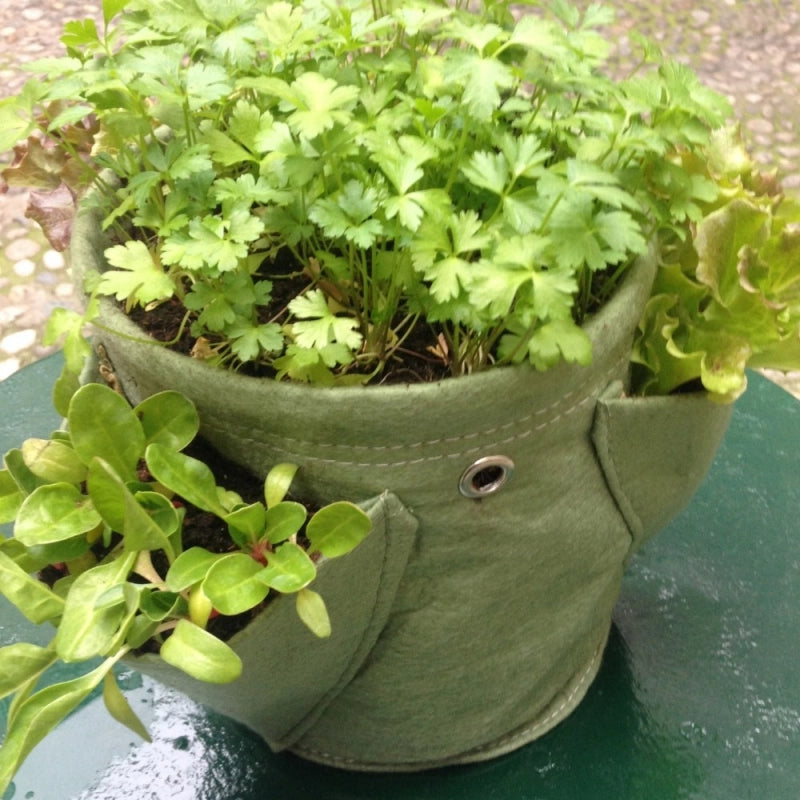 Vaso in tessuto per Erbe Aromatiche BloemBagz da 6 litri, con 3 tasche, colore verde muschio