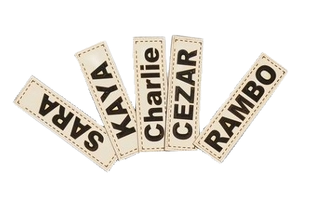 AIO FACTORY 75x65 cm KINGDOG Cuccia per cani impermeabile personalizzabile Golden Bones