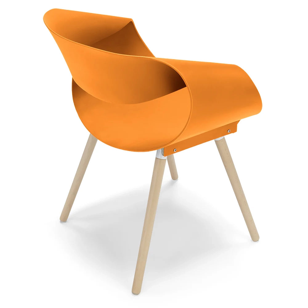 Sedia in polipropilene DILETTA con gambe in faggio, resistente ai raggi UV, design moderno, ideale per sala da pranzo, cucina, sala d’attesa, bar, ristoranti, colore Petrolio