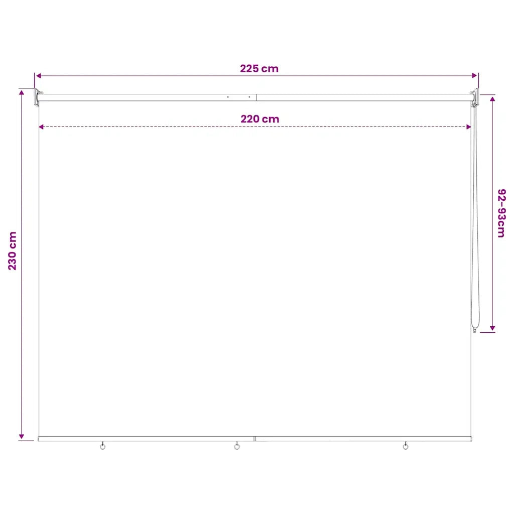 Tenda a Rullo per Esterni 225(L)x230(A) cm color crema 43455