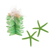 Set 30 Stelle Linckia Levigate 7x9 cm