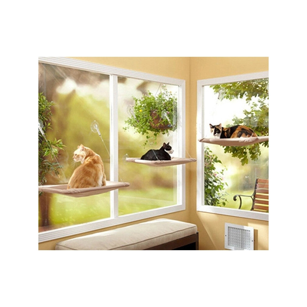 Trade Shop - Lettino Lavabile Per Gatti A Muro Con Ventose 50 X 25 Cm X 7,5 Kg -