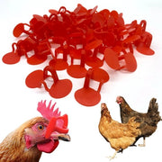 Cappuccio per Pollo - Design Anti-Pick - Set da 50 Unità