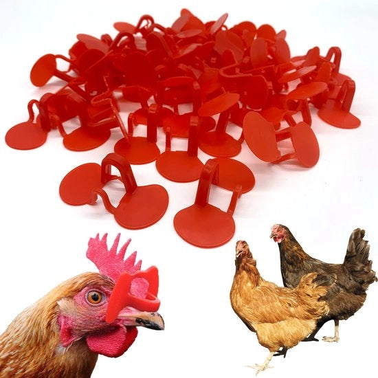 Cappuccio per Pollo - Design Anti-Pick - Set da 50 Unità