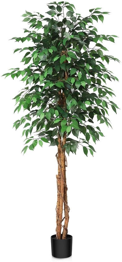 Pianta Finta di Ficus Alto 180 cm - Piantine Artificiali con Tronco in Legno Naturale, Grande Decorazione per Ufficio, Casa, Interno e Esterno, 1 Pacchetto