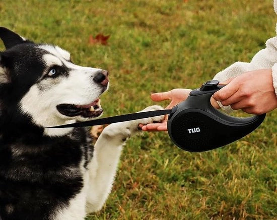 Raccorda per cani - lunga cinghia retrattile per cani, cinghia per cani retrattile, cinghia per cani, cinturino per cani per passeggiate 5 m