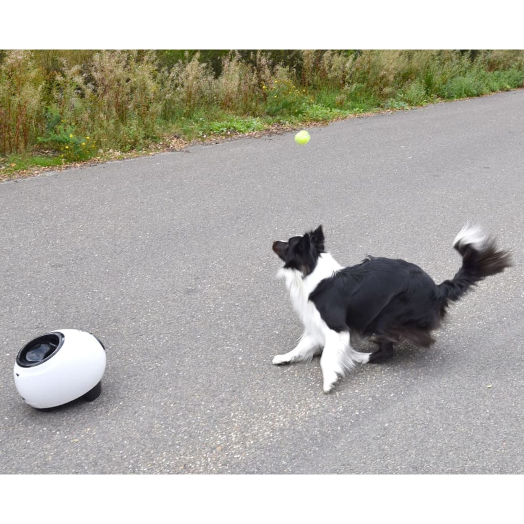 FLAMINGO Lanciapalline Interattivo Palline da Tennis Elton 33x24x29 cmcod mxl 119765