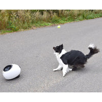 FLAMINGO Lanciapalline Interattivo Palline da Tennis Elton 33x24x29 cmcod mxl 119765