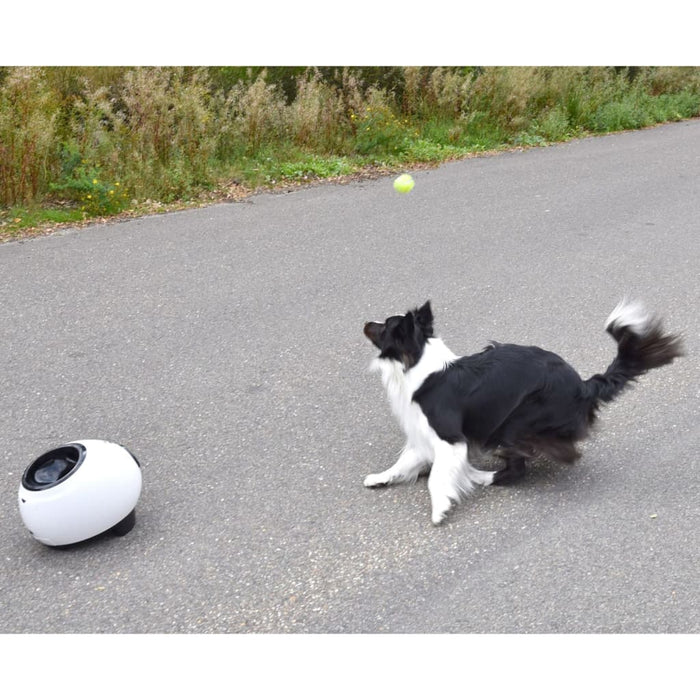 FLAMINGO Lanciapalline Interattivo Palline da Tennis Elton 33x24x29 cmcod mxl 119765