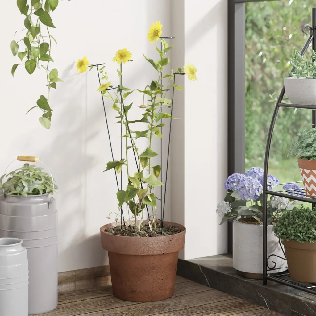 Supporti per Piante da Giardino 20 pz Verde Scuro 61 cm Acciaio CFW6426141
