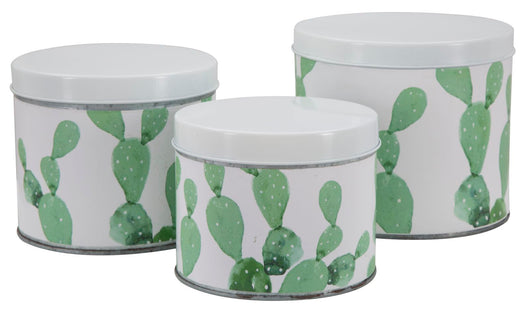 Cofanetti in Latta Cactus Set 3 Pz Ø15x13,5-14x11,5-12,5x10 cm in Ferro Bianco, Verde