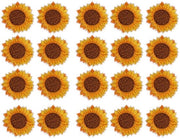 Pannelli da cucire patch 20 pezzi - Pannelli da cucire con disegno zinnia - Pannelli da cucire applicabili - Materiale sicuro e eco amichevole - Facili da utilizzare - Pannelli da cucire per tessuti