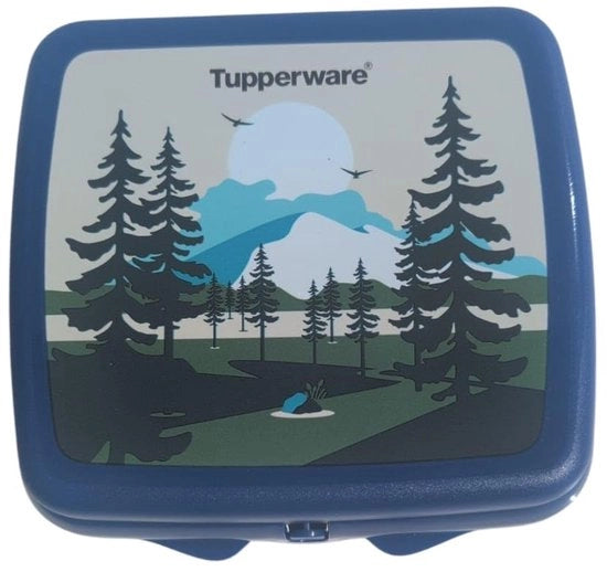 Scatola per Sandwich Opportuna per Conservazione del Cibo in Forma Quadrata con Cerniera e Chiusura (Blu con Motivo di Bosco)