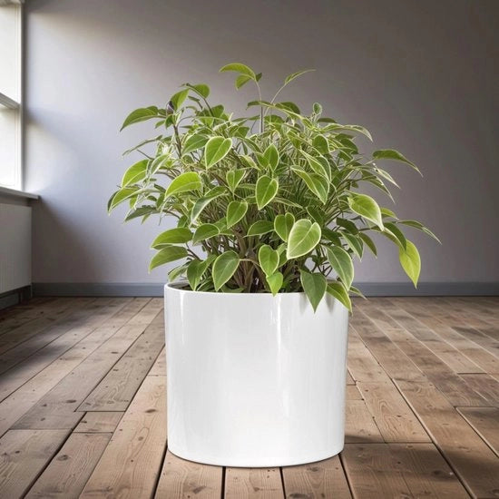 Piantagione in Vaso da 30 cm - Stendardo per Piante Medioevale - Fuga d'Acqua - Adatto per Interno ed Esterno - Bianco Luccicante