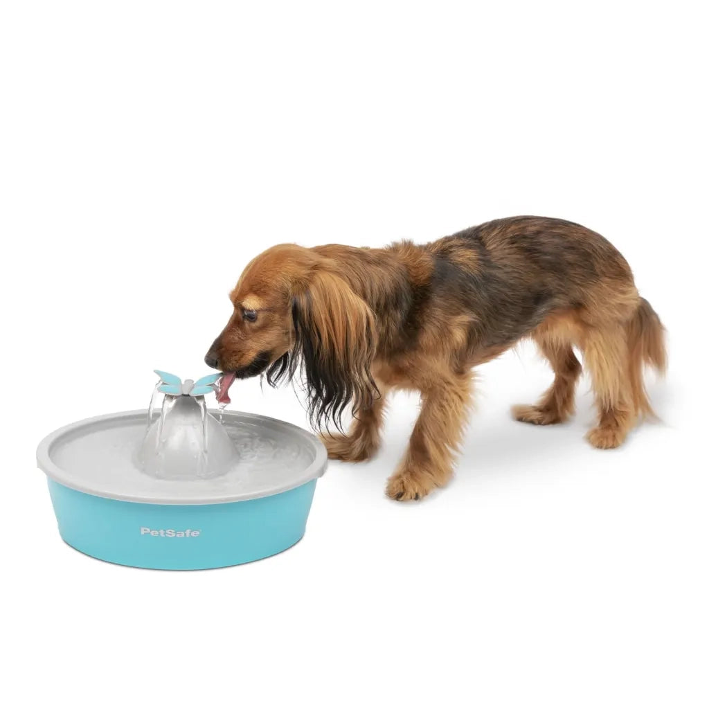 PetSafe Fontana per Animali Domestici Drinkwell con Farfalla 1,5 L 444457