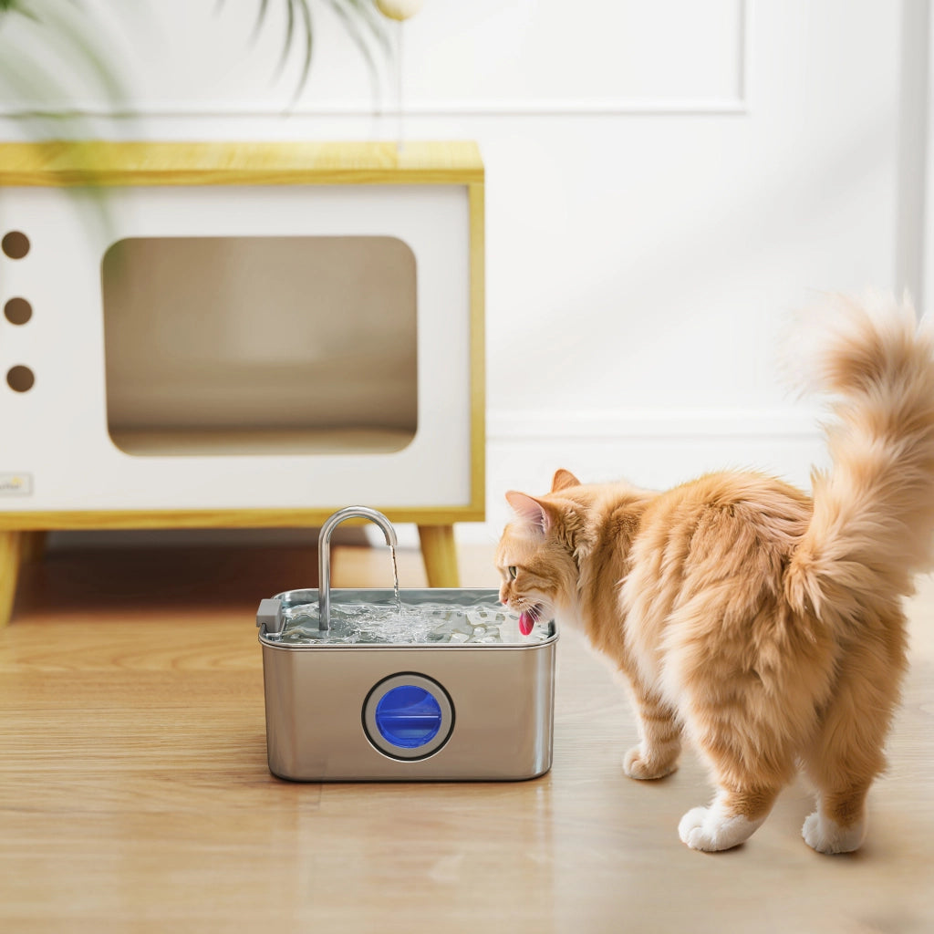 Fontana per Gatti 3,2L ¨C zephmum ¨C Silenziosa con Filtro a Carbone Attivo