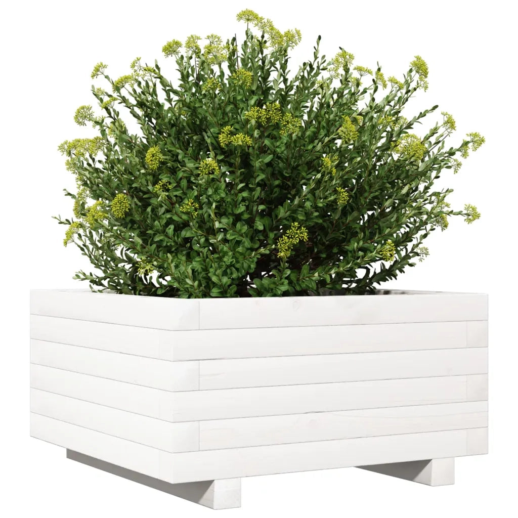Fioriera da Giardino Bianca 50x50x26,5cm Legno Massello di Pino 847294