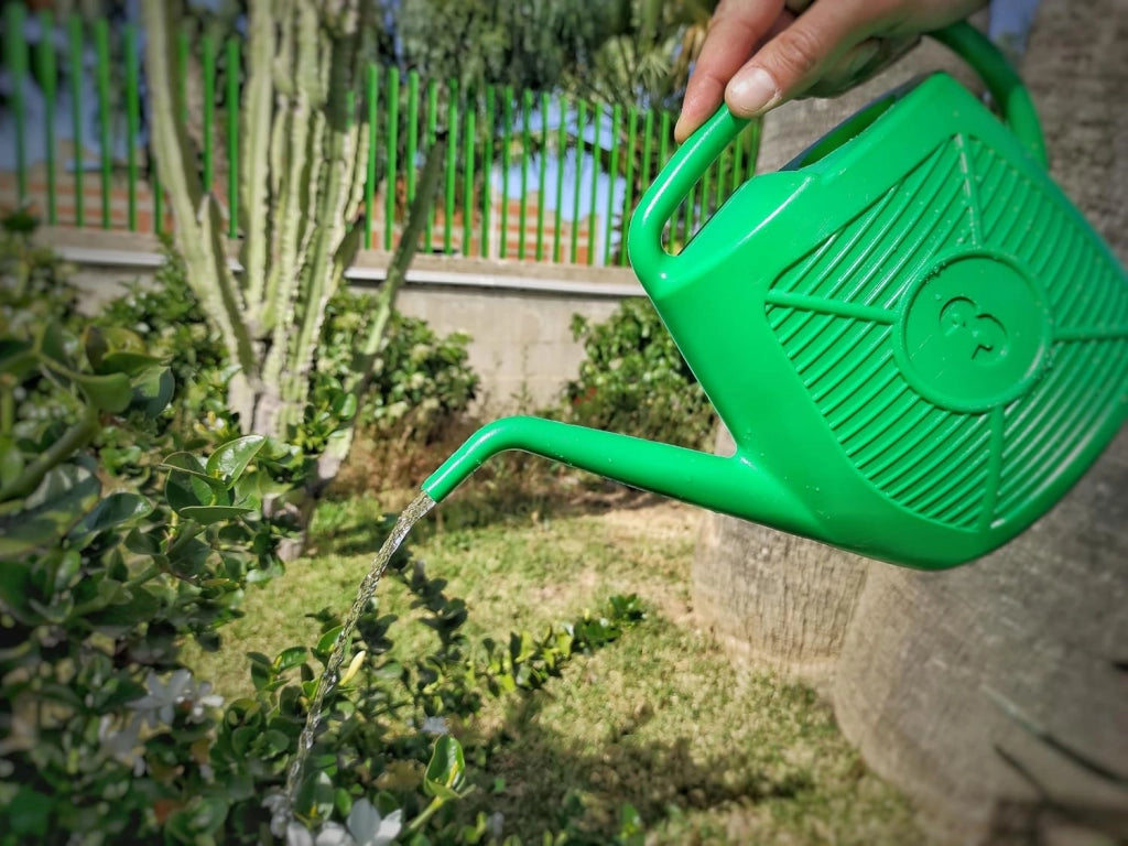Annaffiatoio Plastica Ecoplast Verde 3 lt