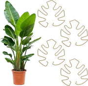 Sostegno per piante per Monstera - Supporto e aiuto alla crescita - Set da 4 pezzi