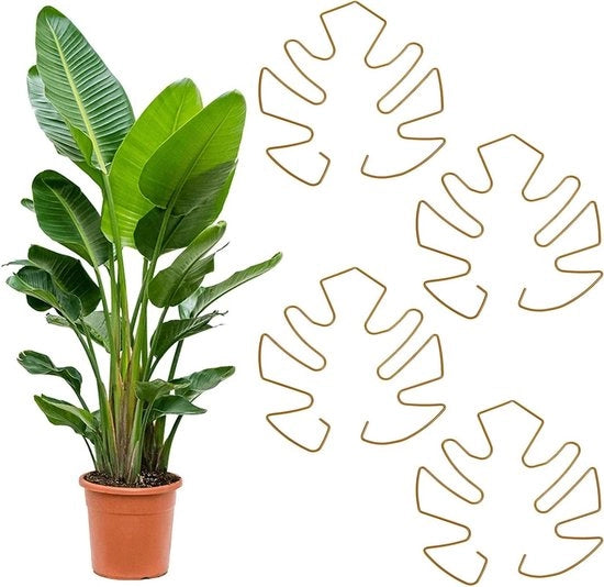 Sostegno per piante per Monstera - Supporto e aiuto alla crescita - Set da 4 pezzi