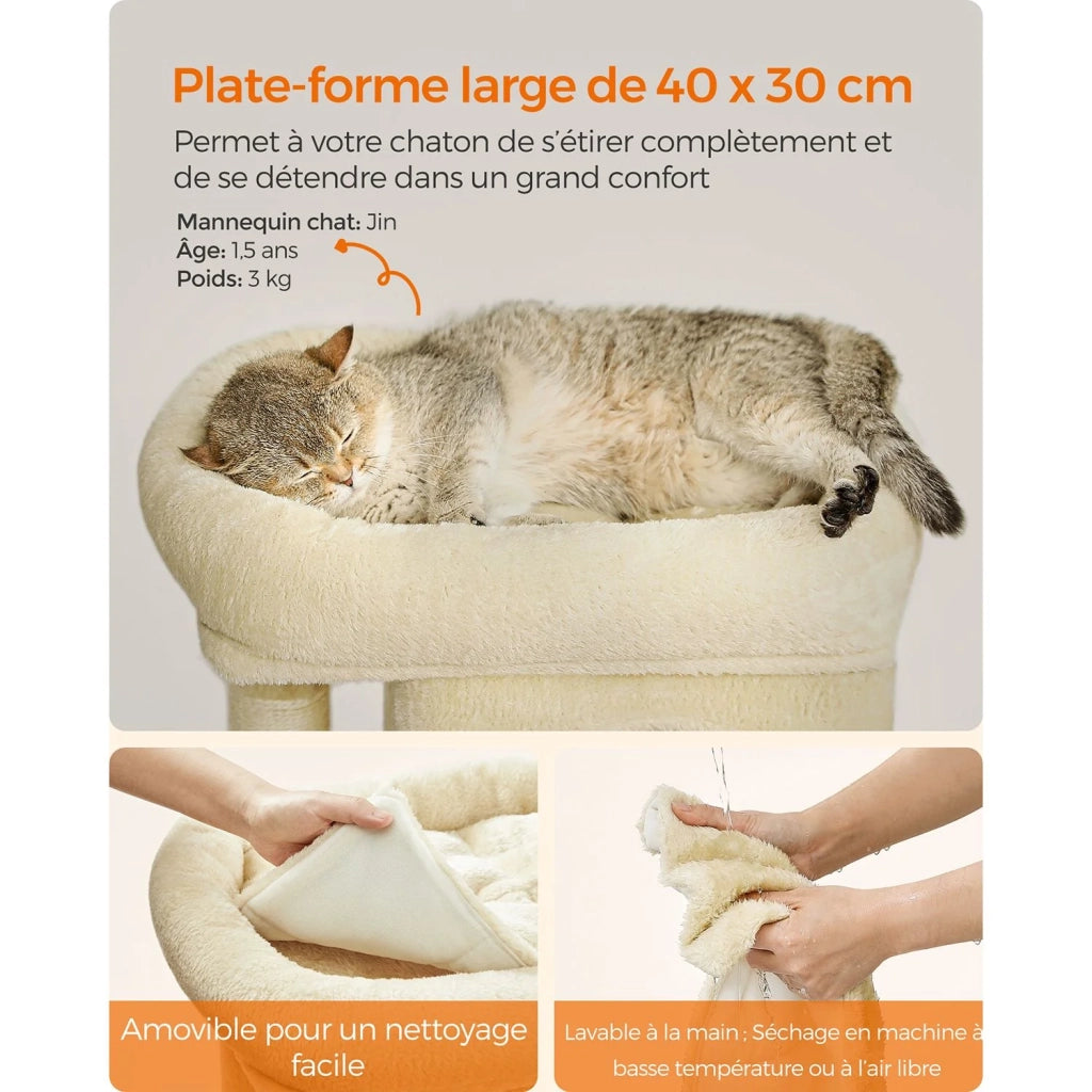Tiragraffi per gatti torre da gioco 67 cm casetta per gattini fino a 3 kg grande piattaforma 2 nicchie tiragraffi grigio beige 12_0003898