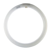 CIRCOLINA 22W G10Q 1200LM 4200K- 12,0 pz