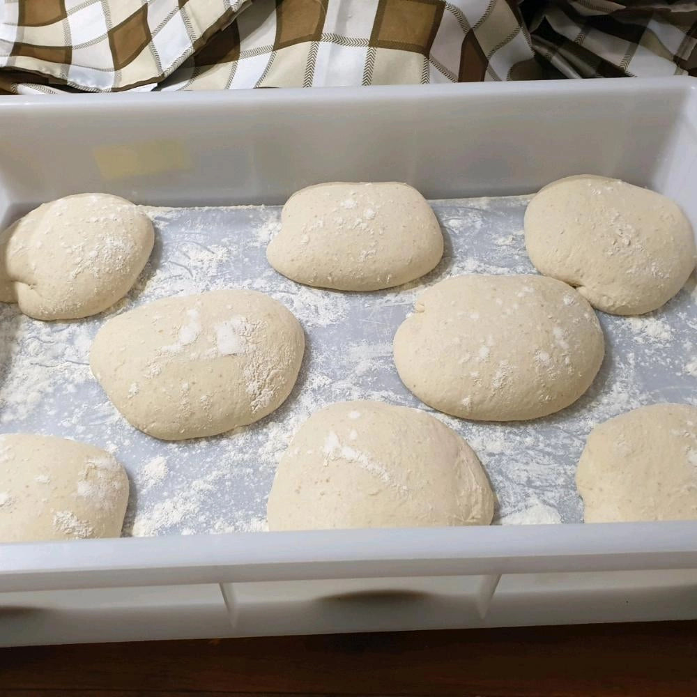 Coperchio per Cassetta per impasto Pizza Pane Alimenti Panetti 30x40x10H cm PEHD