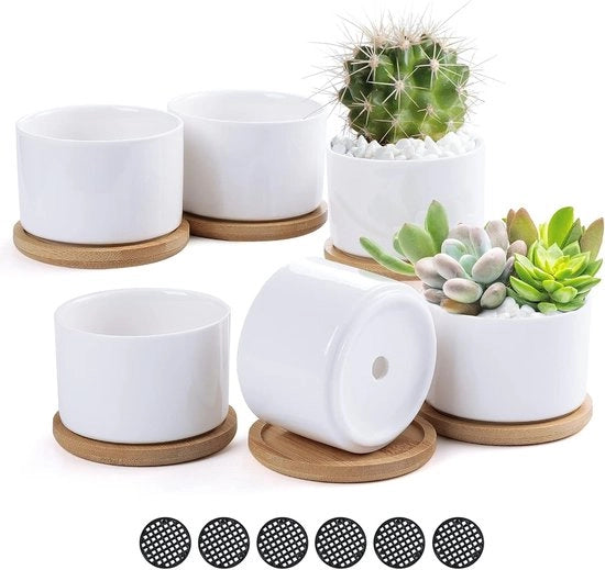 Vasi Ceramici per Fiori - Piante Grasse - 6 Pezzi - Bianco - Ceramica - 7,5 cm