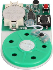Modulo di Sostituzione del Suono - Pannelli di Suono Rimpiazzabili - Modulo di Suono per DIY - Tasto Professionale con Adesivo - 25 Secondi - Adatto per Carte di Auguri - Innovativo Modulo di Suono per Wenskaarten