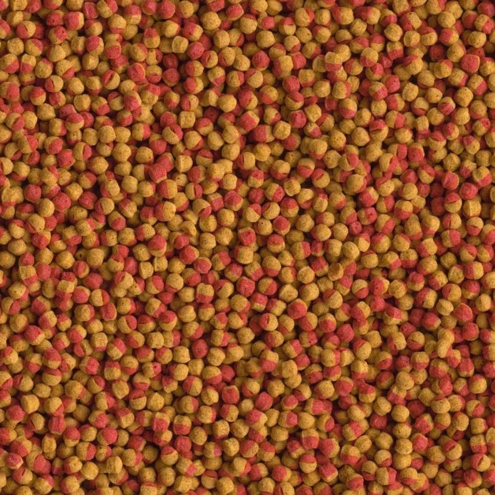 Tetra Cichlid Colour Pellets 500ml/165gr - Alimento completo per tutti i ciclidi