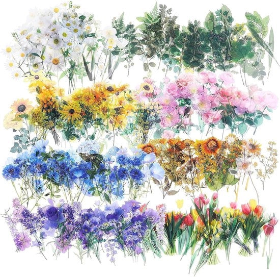 Scatole di adesivi per scrapbook trasparenti - 320 pezzi - Thema natura - Materiali DIY artigianali - Fiori colorati - Per adulti