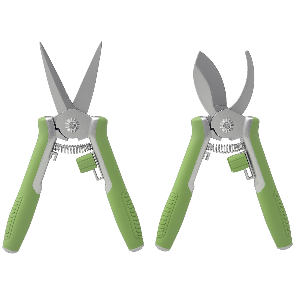 Set da Giardino 2 Pezzi ¨C Zephmum ¨C Verde e Argento Acciaio Inox