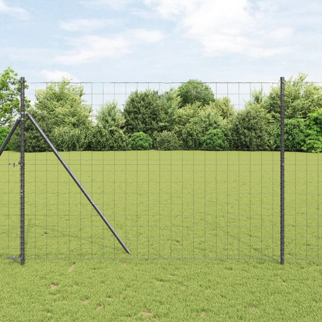 Recinzione Euro Grigia 1.6x10 m Acciaio
