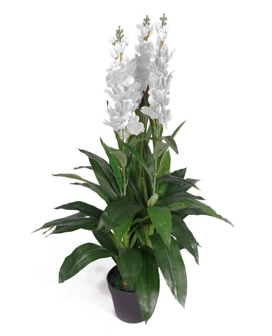 Orchidee Cymbidium in Vaso 90 cm - Pianta di Coltivo in Vaso - Disegno Realistico - Vaso in Plastica Nera - Adatto per Interno/Esterno - Alta Qualità