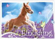Carte di invito 12 pezzi - Compleanno bambino - Cavallo/Poni - Puledro - Amichevole per bambini - Formato pratica 14,8 cm x 10,5 cm - Carte di compleanno