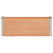 Fioriere | Cassetta per fiori | Letto rialzato da giardino Marrone 150 x 50 x 54 cm