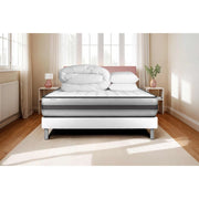 Pacchetto letto completo - Materasso 180x200cm + Box spring con doghe (in kit) + 2 cuscini + Piumino - Vitalpower Recover