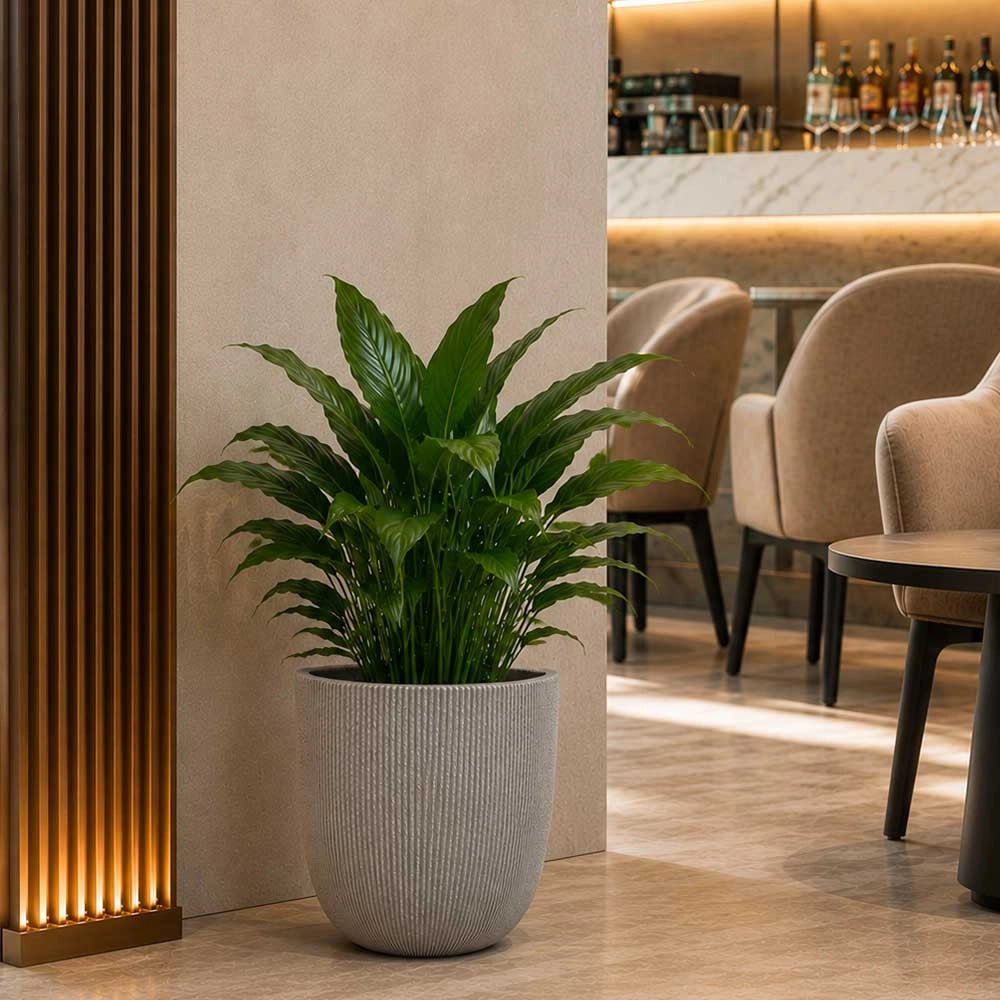 Vaso in plastica HDPE poliresina alta densità per piante Cilindro Grigio h 31,5