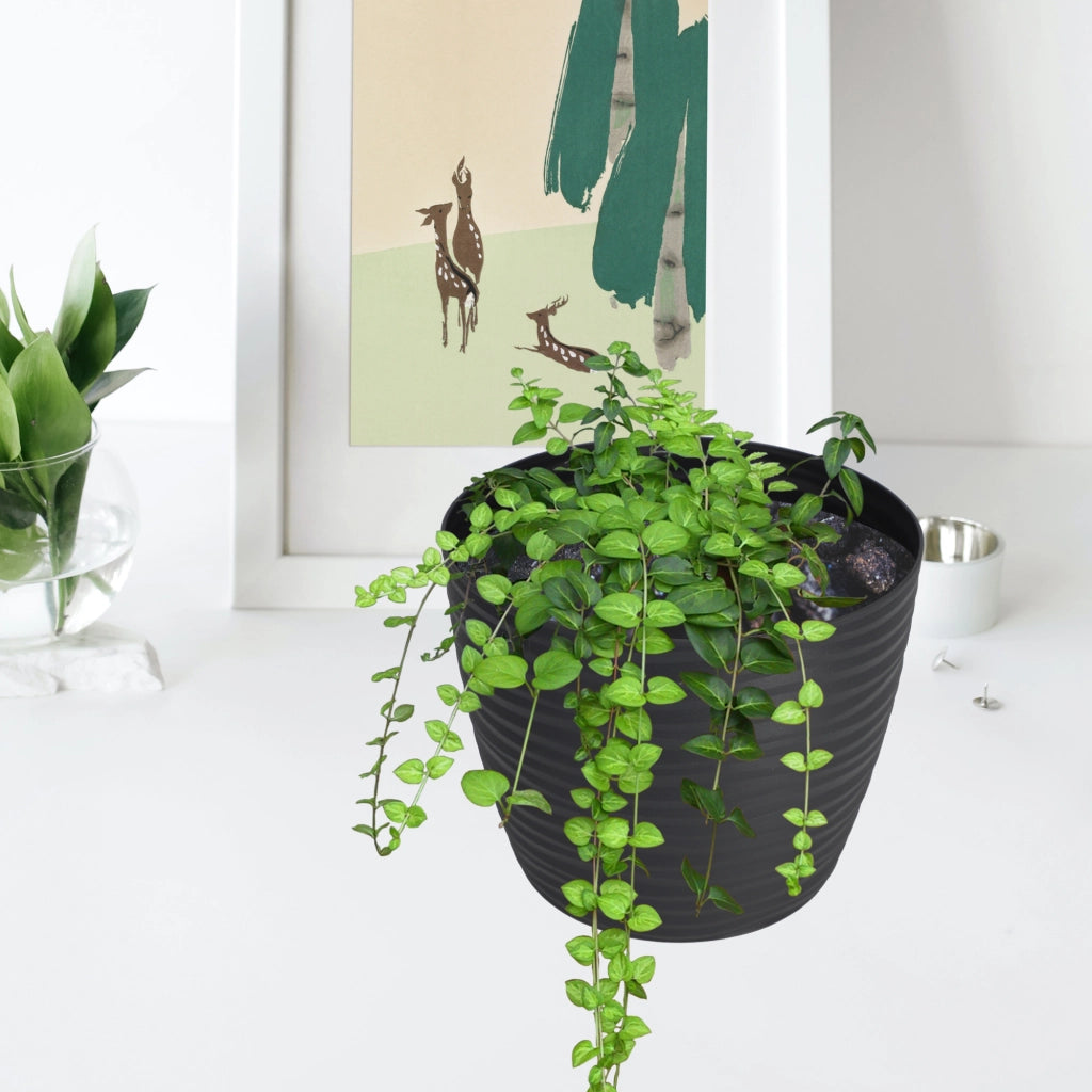 Vaso da fiori KADAX rotondo da 17 cm in plastica color antracite