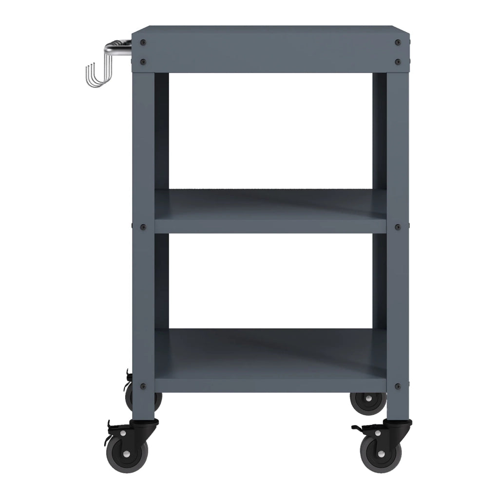 Carrello da giardino con ruote 80,5 x 50 x 50 cm grigio scuro 03_0009343