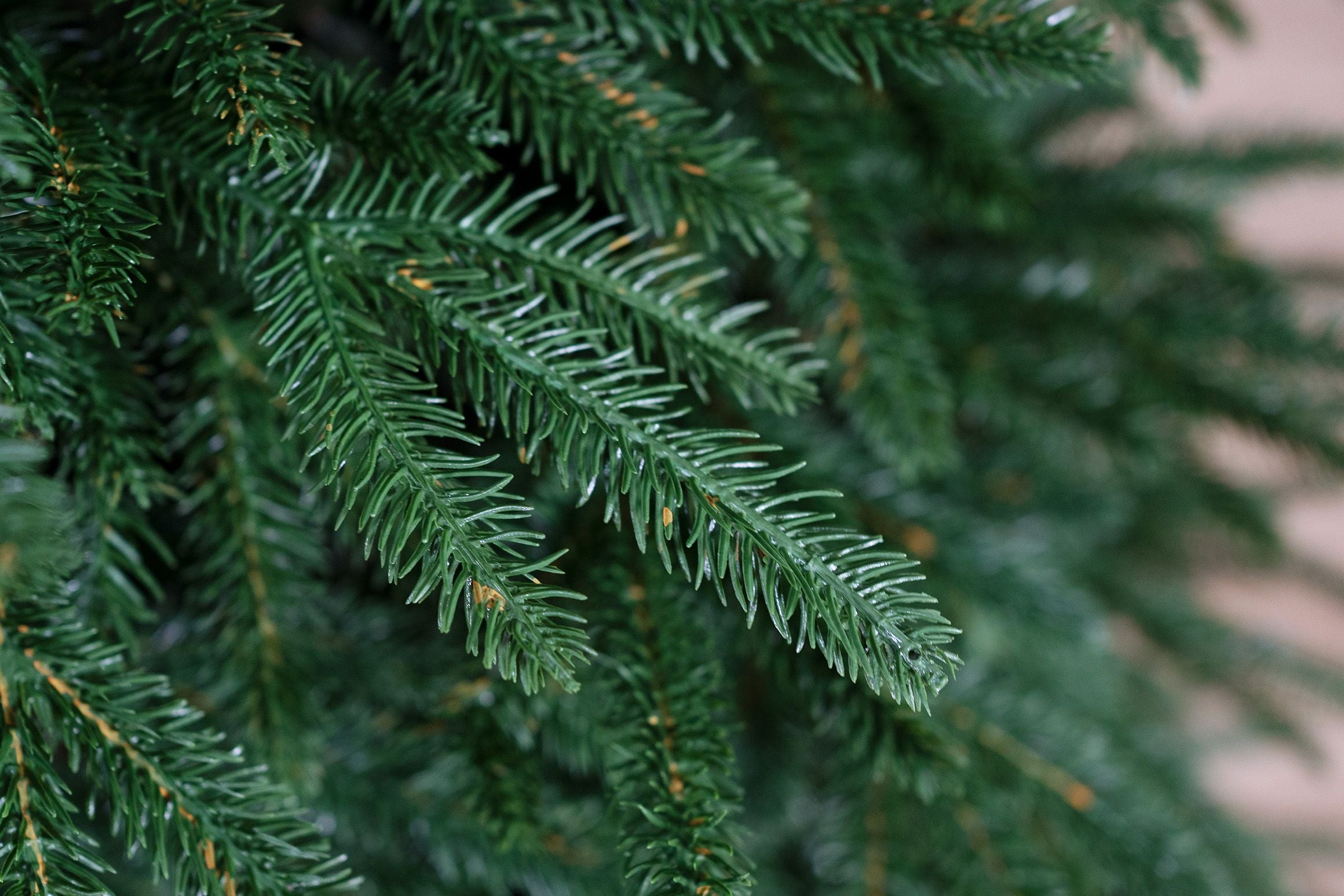 Albero di Natale Orione 150 cm