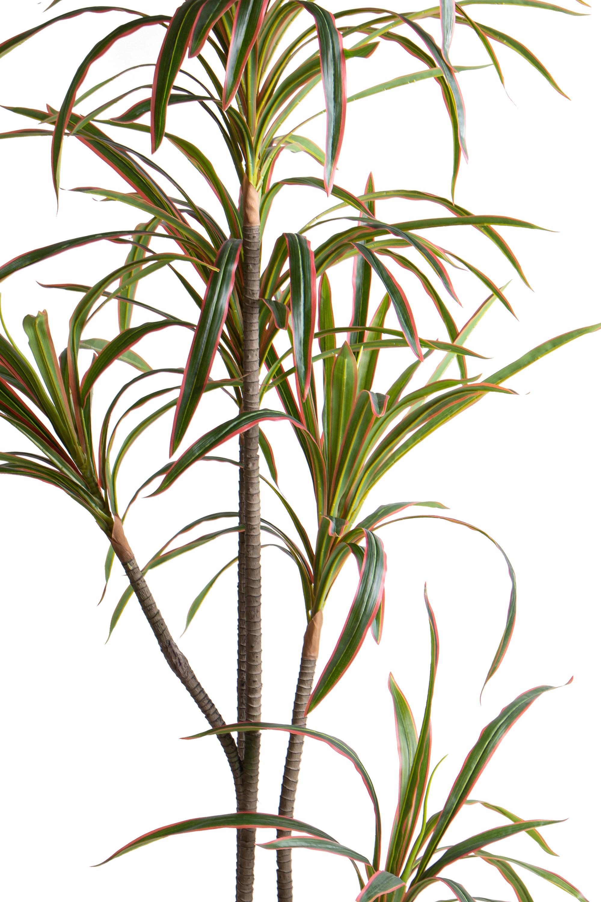 Pianta Artificiale Dracena Marginata con Vaso 190 cm