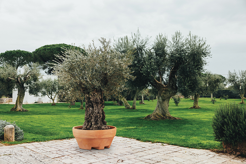 Vaso URSUS 120 (120 x 60H) in Resina per Piante di grandi dimensioni Colore: Antracite