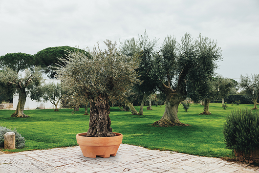 Vaso URSUS 120 (120 x 60H) in Resina per Piante di grandi dimensioni Colore: Bronzo