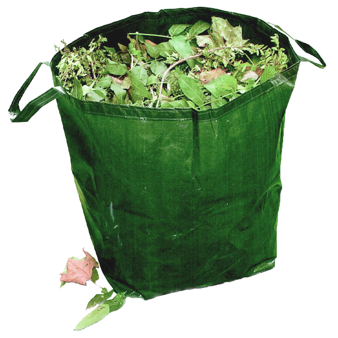 Borsa Raccogli Foglie