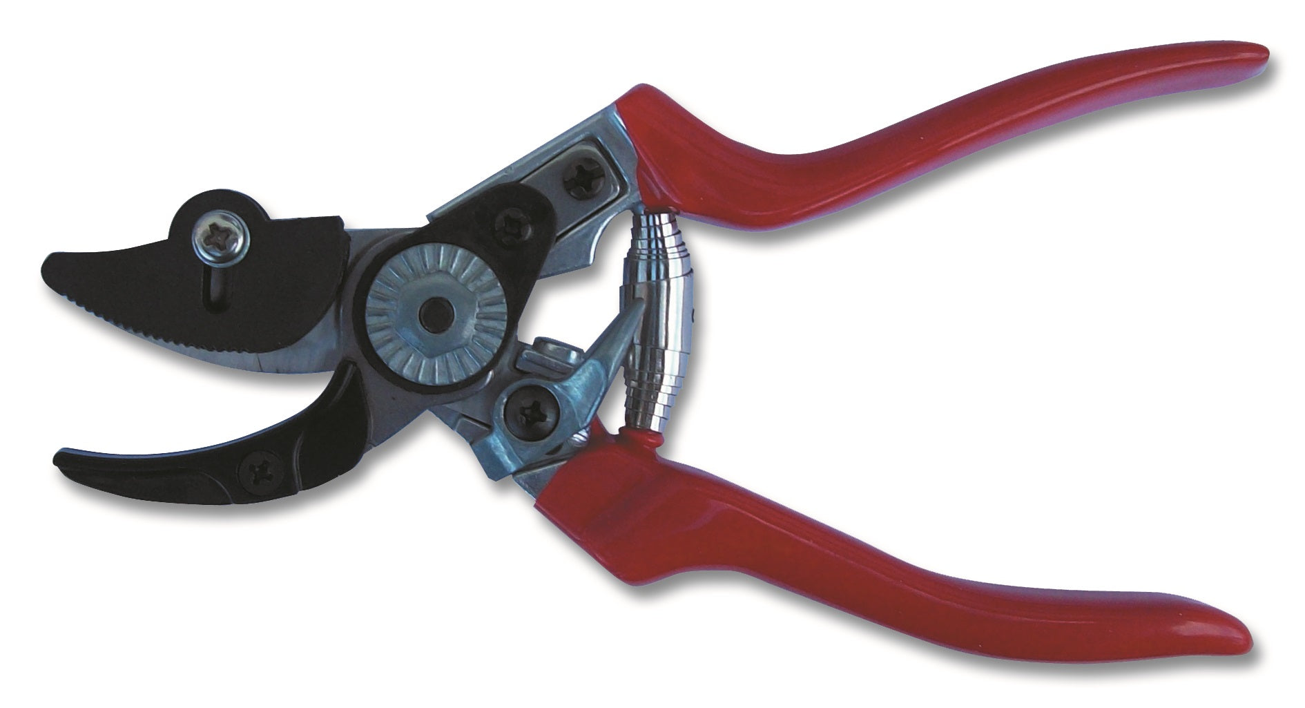 FORBICI FRUTTA IL CAMPO PF-8 BLS