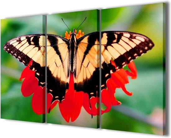 Stampi di Farfalle su Tela - Arredamento Moderno - Pronto per l'Appeso - 3 Pannelli - 120x90cm
