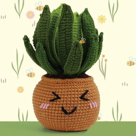 Kit di Aloe Vera Completo a Mano | Aloe Vera DIY – Incluso Vaso, Terra e Pianta – Ideale per Principianti