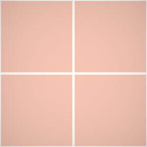 Idroblindex Smalto Murale Opaco Interno - Rivestimenti Interni 557 - Litri 14