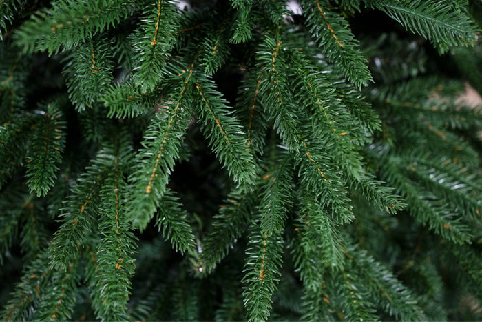 Albero di Natale Orione 150 cm